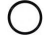 Crankshaft Oil Seal:11 14 8 602 594