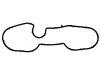 Intake Manifold Gasket:111 141 13 80