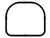 Intake Manifold Gasket:11 61 7 528 584