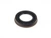 Oil Seal:230 997 02 46